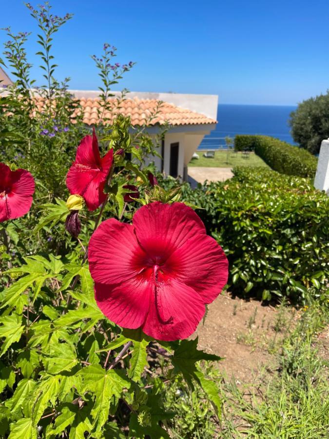 Villa Sofia *Luxury Experience In Calabria ザンブローネ エクステリア 写真